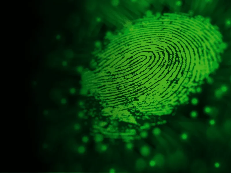 How Cyber Security Companies Make Security Plans For Your Project